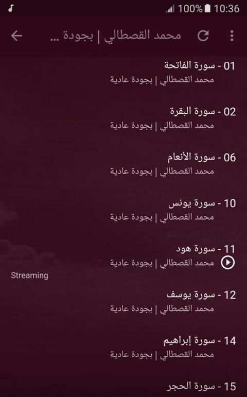 محمد القصطالي قران كريم скриншот 3