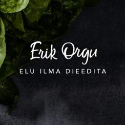 Erik Orgu