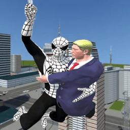 Flying Spider Boy Crime City Rescue: US President icon