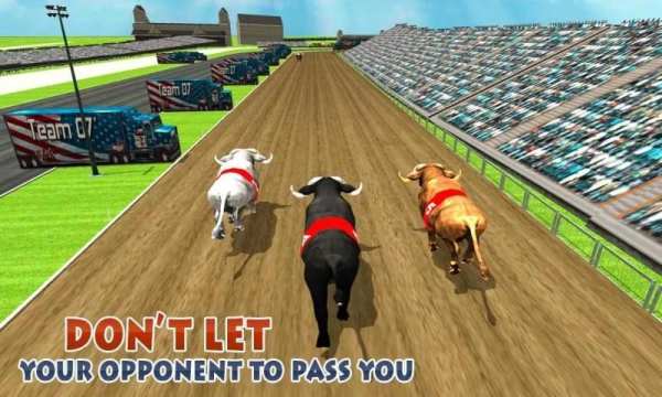 Bull Racing Fever स्क्रीनशॉट 3