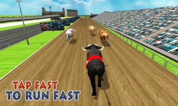 Bull Racing Fever स्क्रीनशॉट 6