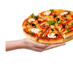 بيتزا 2016 pizza icon