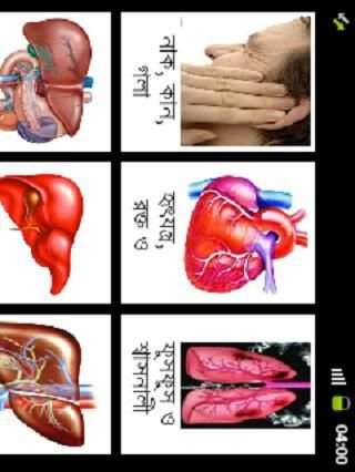 স্বাস্থ্যকথা - bangla screenshot 3