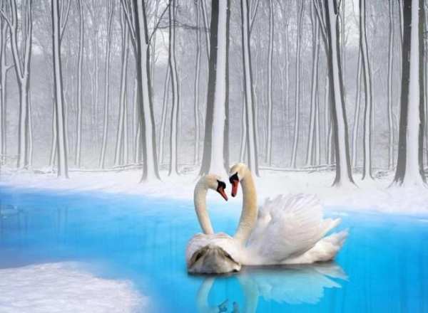 Snow Wallpapers скриншот 1