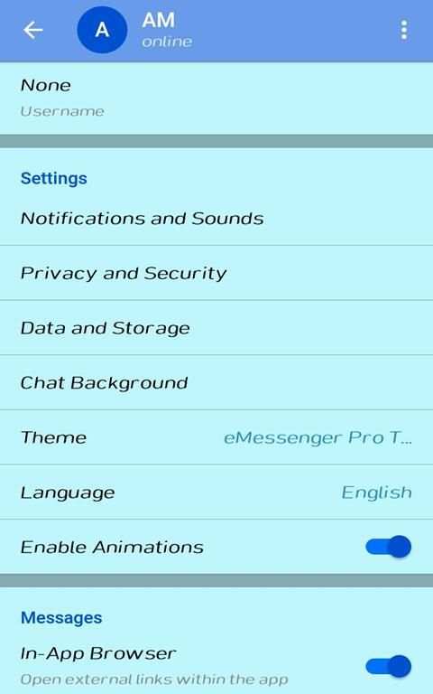 eMessenger Pro Text and Video Chat screenshot 4