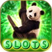 The Pandas Slots