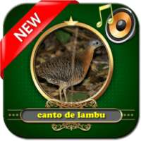 canto de lambu on 9Apps