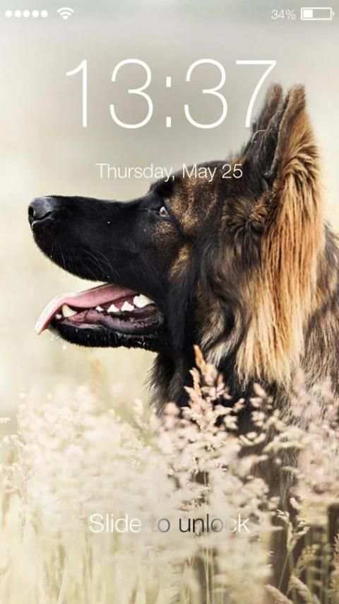 Clever German Shepherd Dog HD Lock Screen 6 تصوير الشاشة