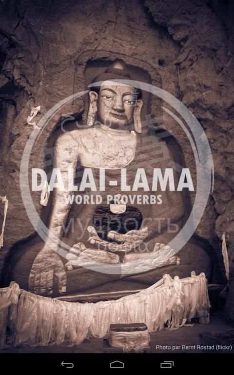 Dalai lama & Buddha quotes screenshot 3