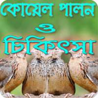 কোয়েল পালন ও চিকিৎসা on 9Apps