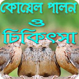 কোয়েল পালন ও চিকিৎসা 1.0