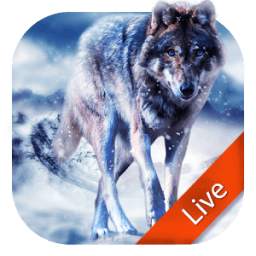 Ice Wolf Live Wallpaper 3D