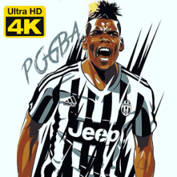 Paul Pogba Wallpapers HD أيقونة