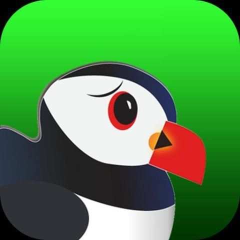 Ultimate Puffin Browser Pro Tips 1 تصوير الشاشة