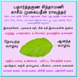 பதார்த்த குண சிந்தாமணி