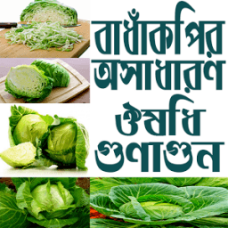 বাঁধাকপির ঔষধি গুণাগুন أيقونة