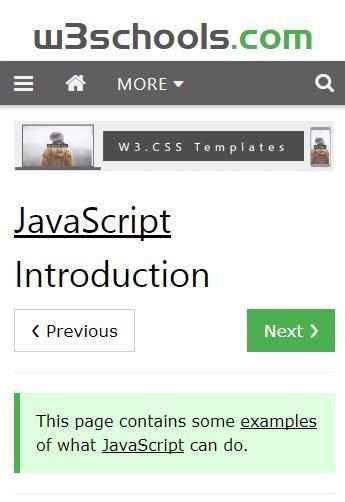 JavaScript W3Schools screenshot 6