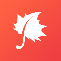 ikon Sycamore School