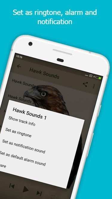 Hawk Sounds 2 تصوير الشاشة