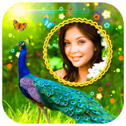 ikon Peacock Photo Frames HD