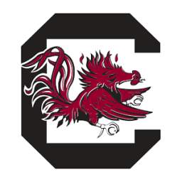 South Carolina Gamecocks