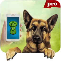 Clicker Training Dogs icon
