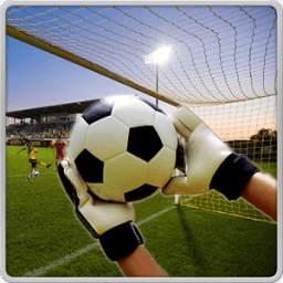 Soccer Goalkeeper 3D 1.05