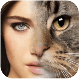 Face Morphing иконка