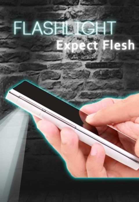 Flashlight Expect Flesh скриншот 1