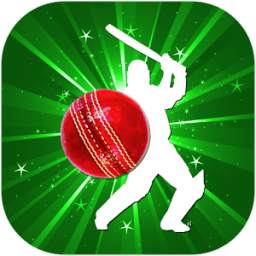 Cricket League 2.4