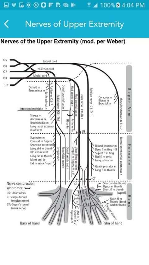 Neurology Essentials 2 تصوير الشاشة