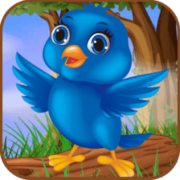 Bird Hunter أيقونة