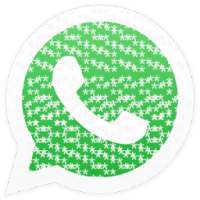 ­­­­­­­­­­w­­­­h­­a­­­