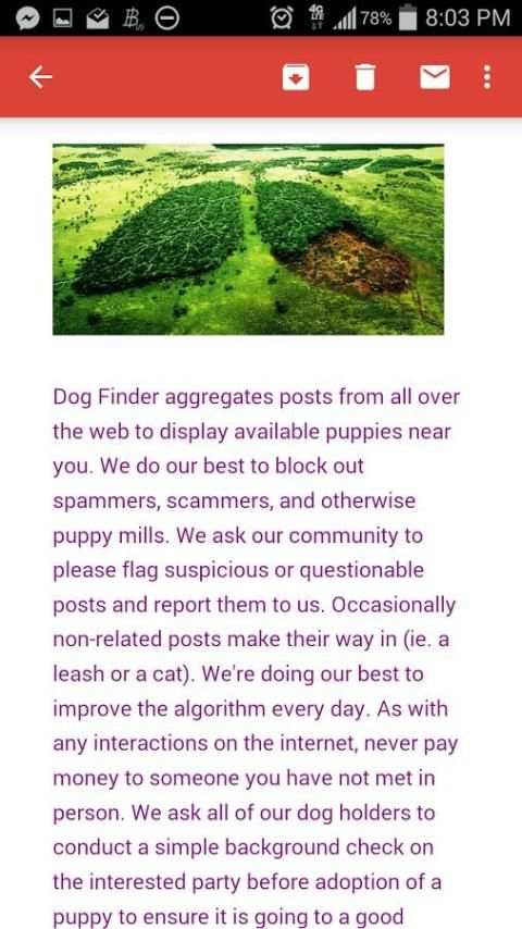Dog Finder - Adopt A Puppy screenshot 1