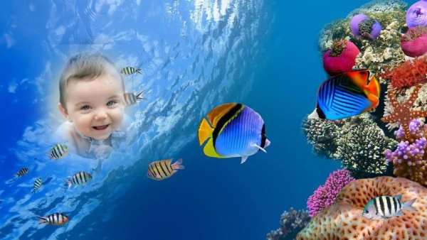 Fish Aquarium Photo Frame скриншот 2