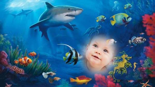 Fish Aquarium Photo Frame скриншот 3
