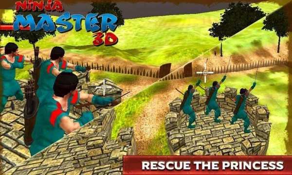 Ninja Master 3D screenshot 3
