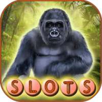 King of the Jungle Slots