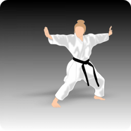 Learn Kung Fu icon