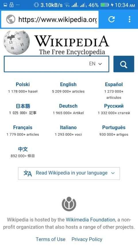 Popular Browser screenshot 2