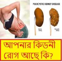 কিডনি সমস্যার সমাধান ~ Kidney stones solution on 9Apps