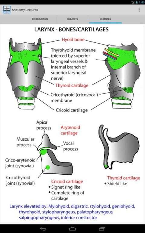 Anatomy Lectures screenshot 4