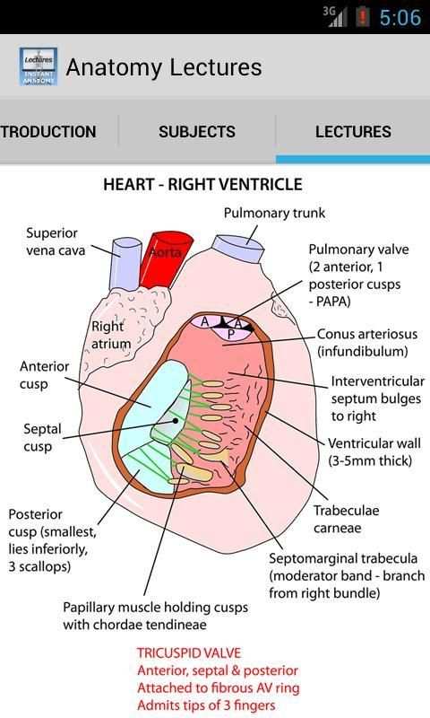 Anatomy Lectures screenshot 8