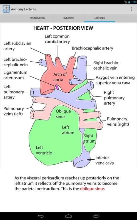 Anatomy Lectures screenshot 5