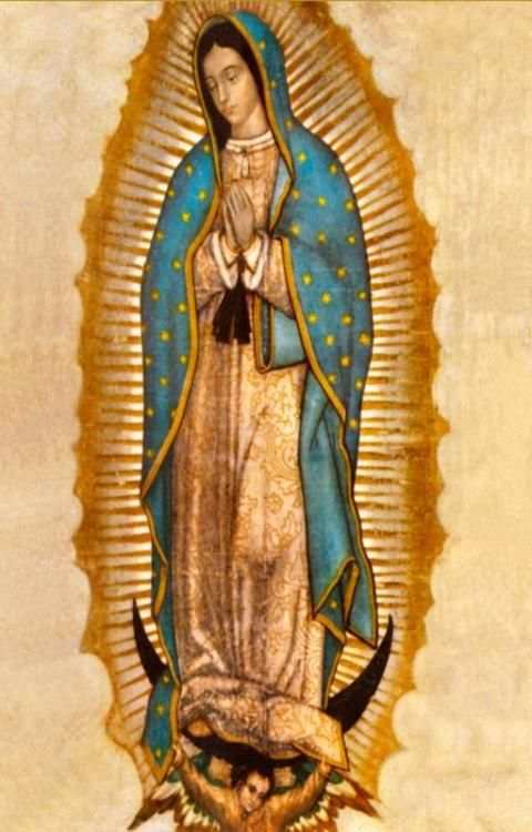 Virgen de Guadalupe Foto Gratis screenshot 1