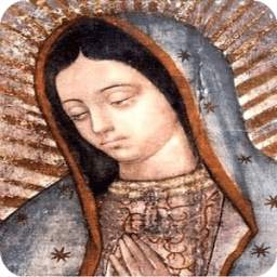Virgen De Guadalupe Foto Gratis 1.0