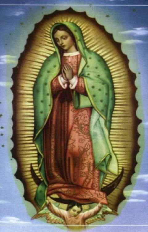 Virgen de Guadalupe Foto Gratis screenshot 3