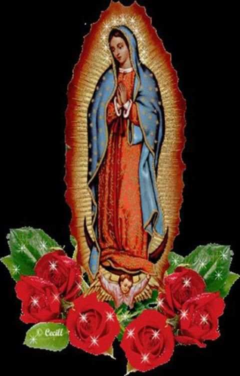 Virgen de Guadalupe Foto Gratis screenshot 4