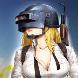 PUBG Best Wallpapers أيقونة