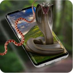 Cobra Snake attack on Phone Prank
